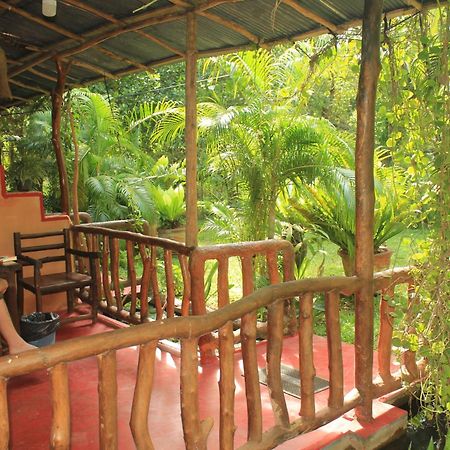 Sigiriya Nature View Home Stay Eksteriør billede